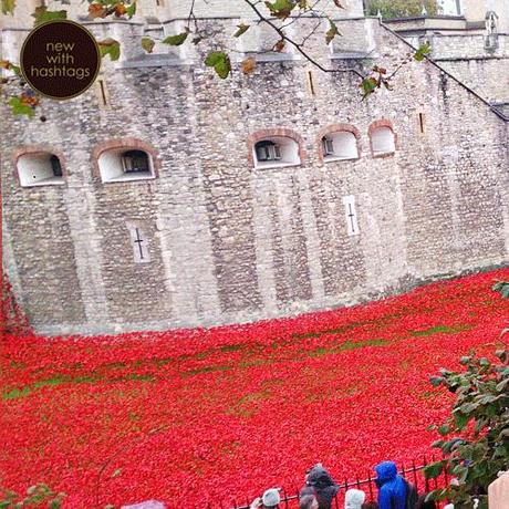 Poppies-at-the-Tower-of-London-November-2014