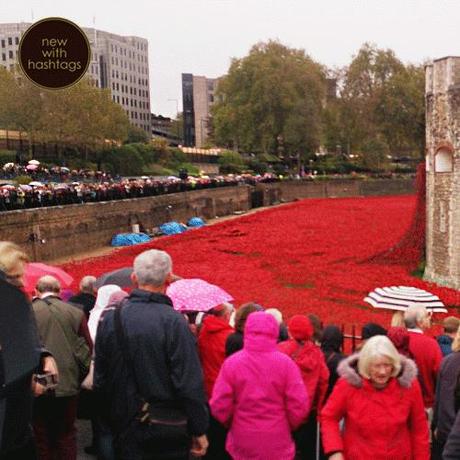 Poppies-at-the-Tower-of-London-November-2014-queue