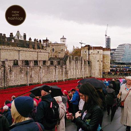 Poppies-at-the-Tower-of-London-November-2014-side