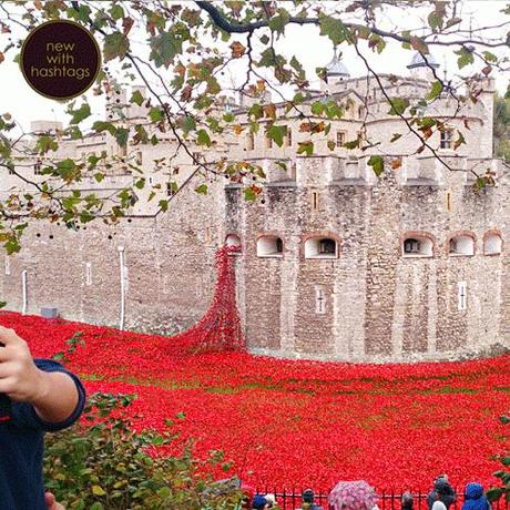 Poppies-at-the-Tower-of-London-November-2014-flowing