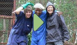 Great Barrier Reef Australia, Turtle Rehabilitation Program