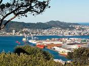 Favourite Things About Wellington