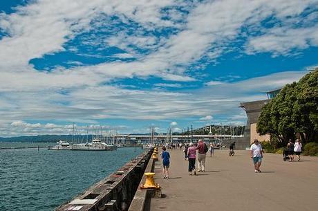 Sunday at Wellington Harbour