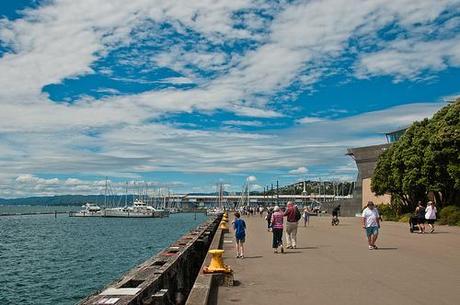 Sunday at Wellington Harbour