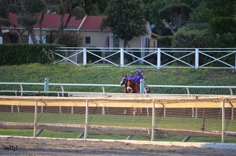 Breeders Cup California Chrome