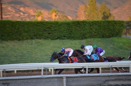 Breeders Cup Classic 2014