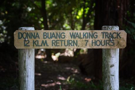 donna buang walk start martyr road warburton