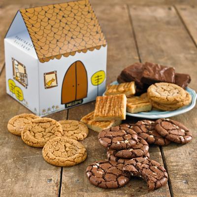 brownies-cookies-house-gift-lrg