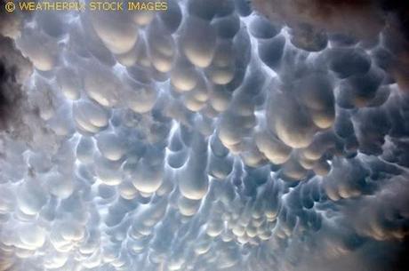 http://atomikaztex.files.wordpress.com/2009/07/mammatus-storm-clouds_san-antonio1.jpg