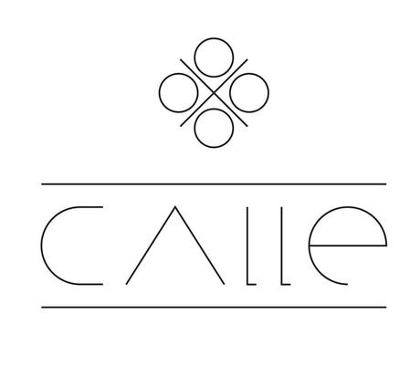 Proyecto-Calle-9
