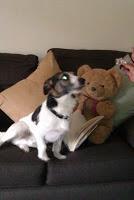 Ralph's Top 10 Blogged Band Chart - 8.11.14