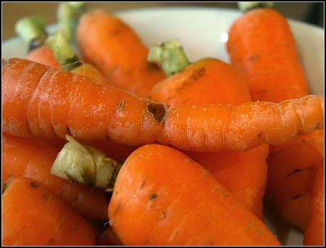 Harvesting Carrots