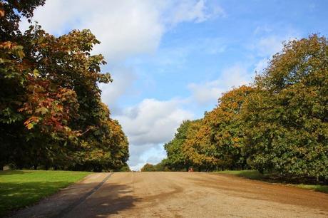 The London Nightly Photoblog 08:11:14