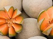 Benefits Uses Cantaloupe Skin, Hair Health