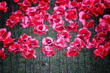 Remembrance Sunday