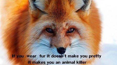 New Campaign Aims to Make the Fur Industry a Thing of the Past