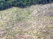 World Governments Failing Earth’s Ecosystems, Says Conservationist