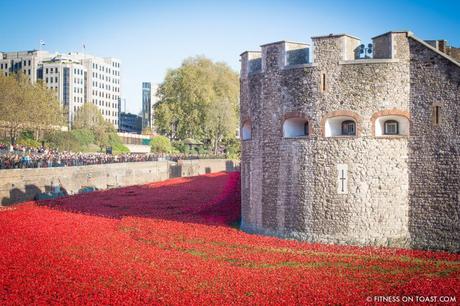 Fitness On Toast Faya Blog Girl Healthy Workout Exercise Fashion OOTD Fit Fitspo Cosmopolitan Lifestyle Helly Hansen Sweaty Betty Gucci Nike Tower of London Poppy Rememberance-11