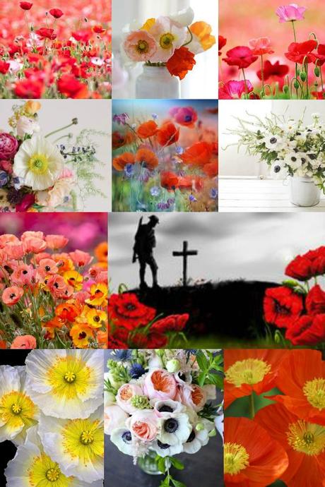 Poppy Day Mood Board 2 FAF