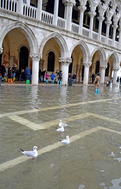 ilovegreeninspiration_venice_outfit_acqua_alta_14