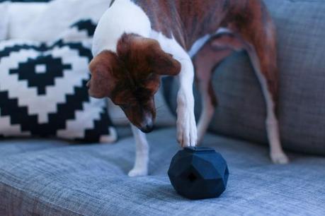 The Sexiest Dog Toy Weve Ever Seen