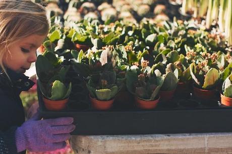 Coconut kabocha soup with Japanese 7-spice feed_feed_market_day_FeedMeDearly (1)