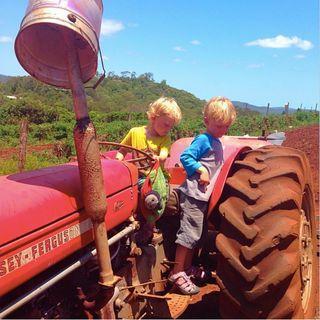 Boys on tractors in oz