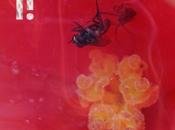 Track Day: 'Past Remains'