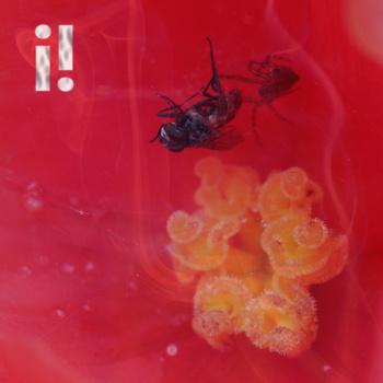 Track Of The Day: i! - 'Past Remains'