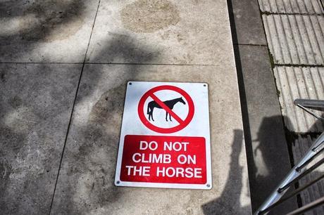 The Nightly London Photoblog 10:11:14 The Mall