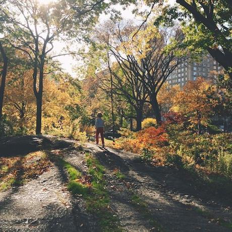 central_park_trees_birthday_FeedMeDearly