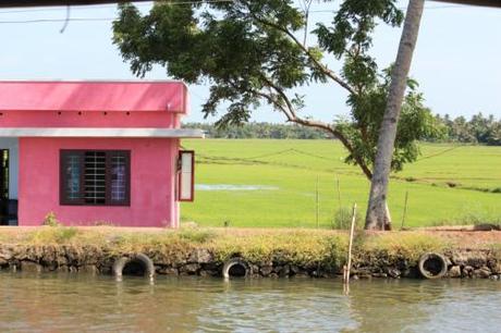 Taken in July of 2014 in the Backwaters of Kerala