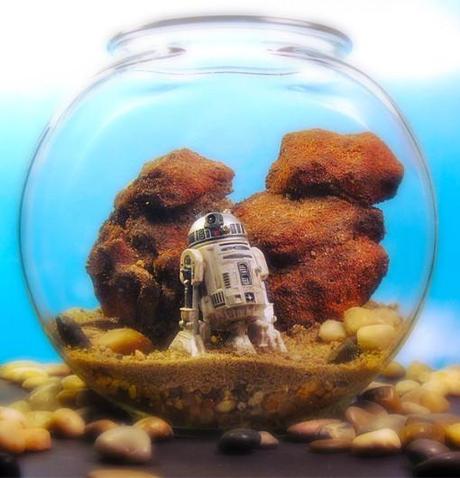 Top 10 Amazing Fantasy Themed Terrariums