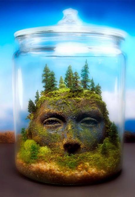 Top 10 Amazing Fantasy Themed Terrariums