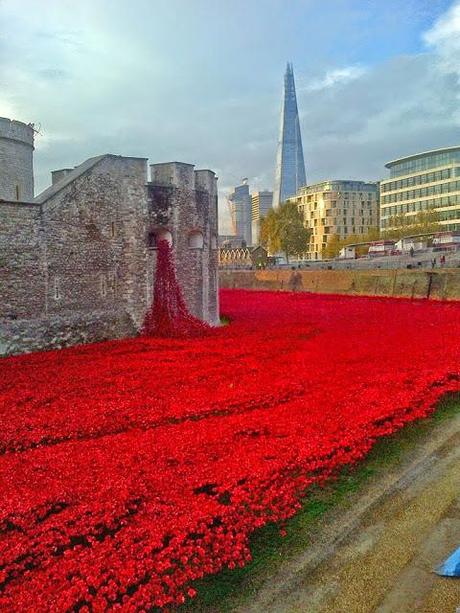 Poppies in the Moat