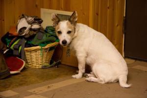 Breaking Out the Boots Ahnu (2 of 3)