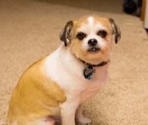 Breaking Out the Boots Ahnu (3 of 3)