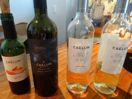 The wines we tasted at Bodega Caelum