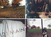 Instagram Lately Whole Wheat Pumpkin Chocolate Swirl Bread