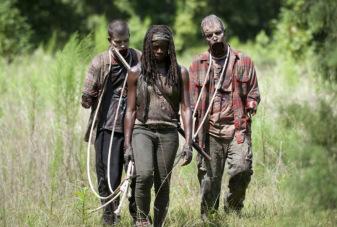mihcone walkers