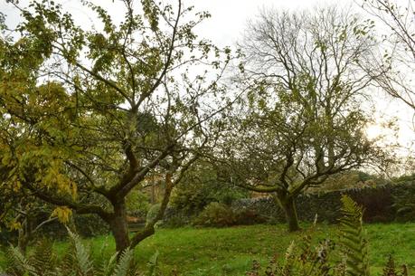 A wander around Stoneywell Cottage, Ulverscroft