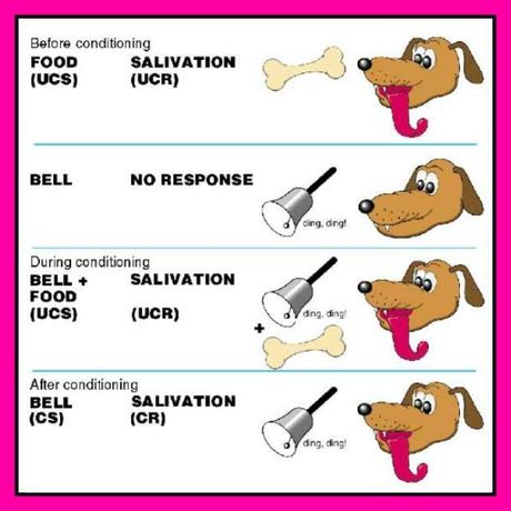 Classical Conditioning via Fitful Focus