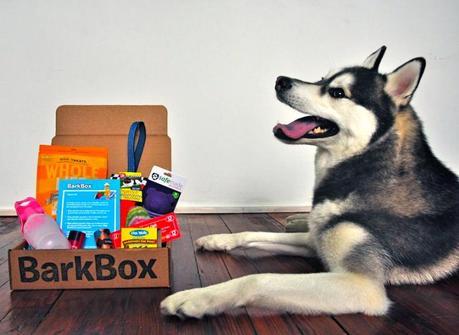 Gift Guide Bark Box