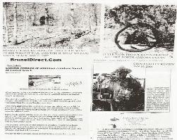 Four stories from unknown newsletter. The first one is Dennis' photo of the Bigfoot in Fayetteville, Arkansas in 1997. The upper right shows the Bigfoot photographed in North Arizona which resembles Derek Randles' Ridgewalker