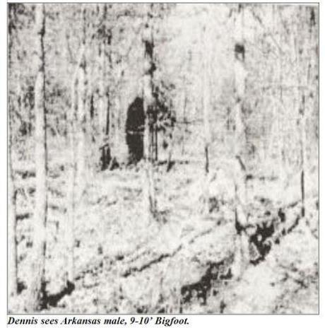Dennis photographed this Bigfoot in Fayetteville Arkansas in 1997.