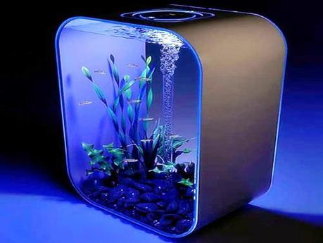 Fish Tank Decoration Ideas For Kids