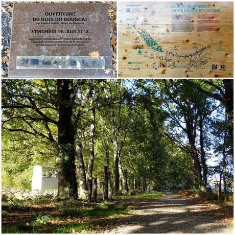 Le Bois du Bouscat: a cultural walk in the woods