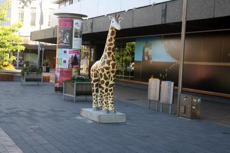 Christchurch colourful giraffe art