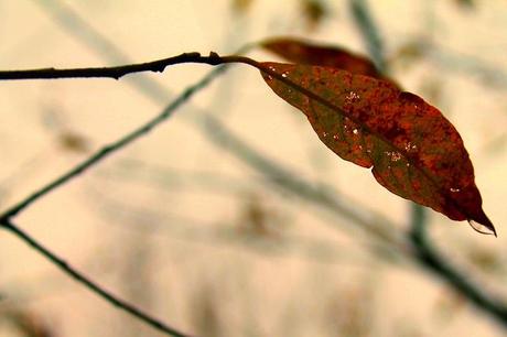 A Wet Walk