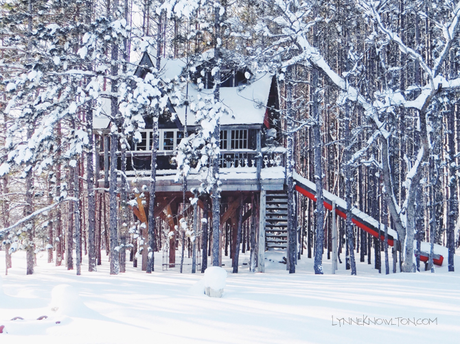 #Christmas in the wintertime http://www.lynneknowlton.com/christmas-in-the-treehouse/ 